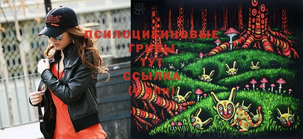 ПСИЛОЦИБИНОВЫЕ ГРИБЫ Белокуриха