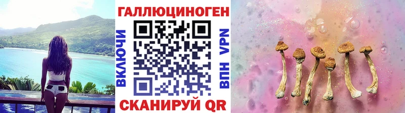 Галлюциногенные грибы Psilocybine cubensis  Купить  Сибай 